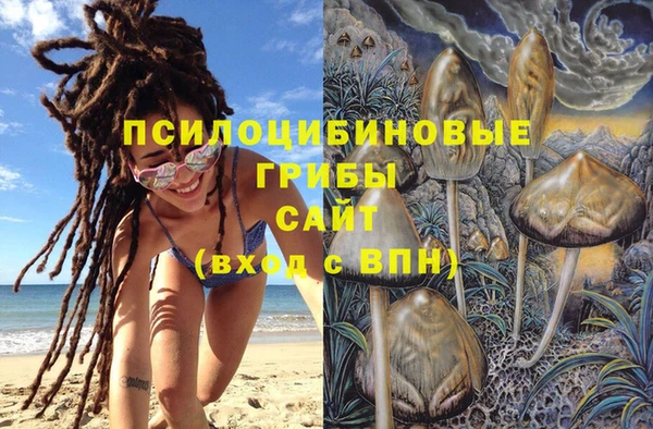 дурь Абинск