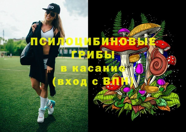 jwh Абаза