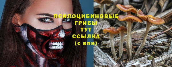 дурь Абинск